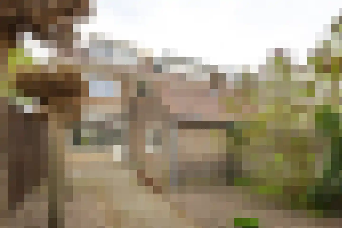 Rembrandtlaan 29 Sliedrecht thumbnail 22