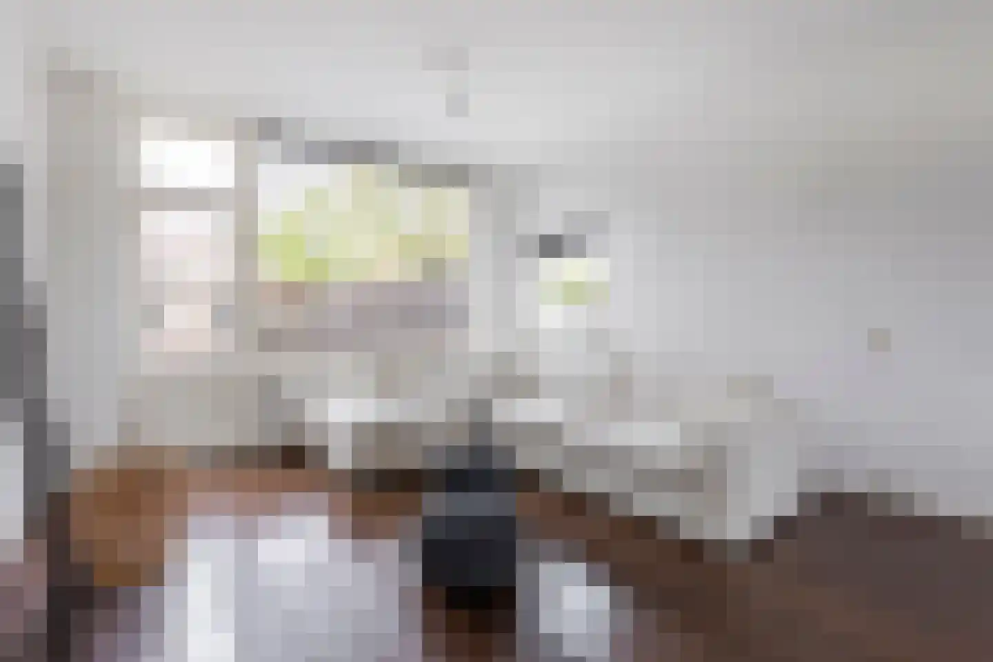 Rembrandtlaan 29 Sliedrecht thumbnail 5