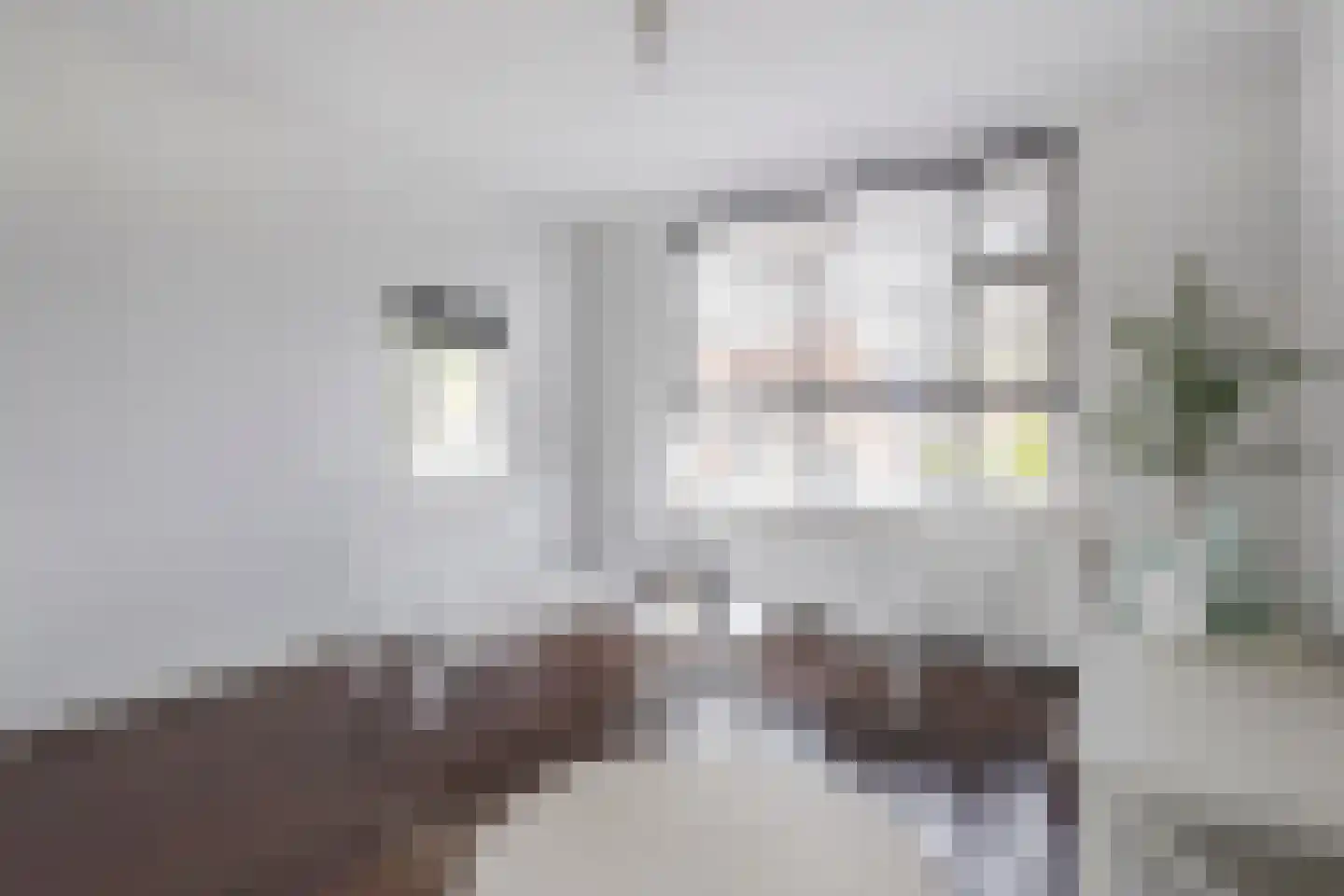 Rembrandtlaan 29 Sliedrecht thumbnail 7