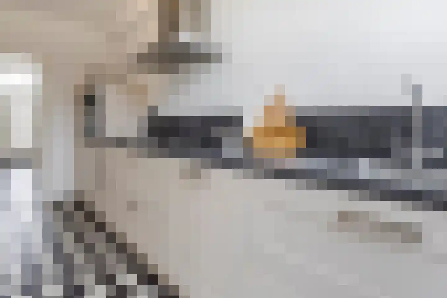 Rembrandtlaan 29 Sliedrecht thumbnail 9