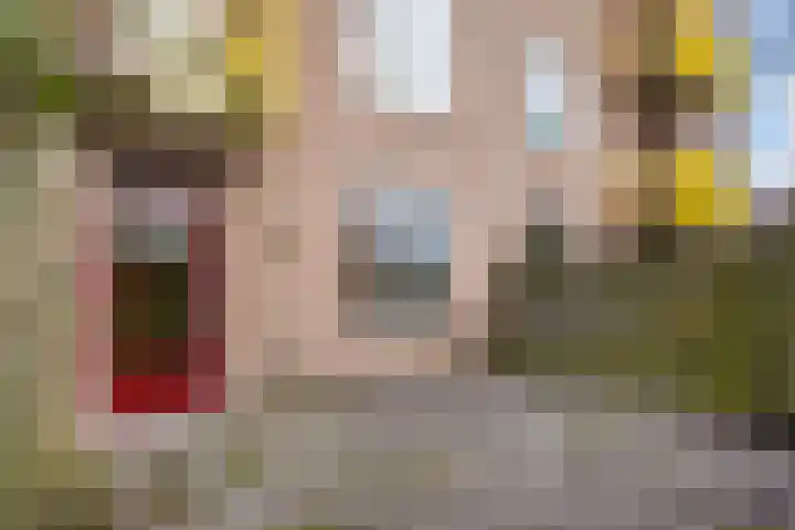 Rembrandtlaan 292 Ede thumbnail 12
