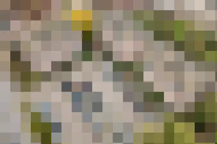Rembrandtlaan 292 Ede thumbnail 16