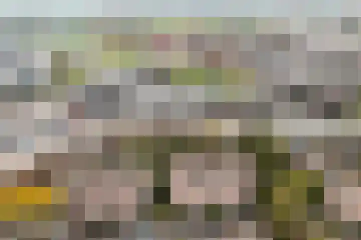 Rembrandtlaan 292 Ede thumbnail 17