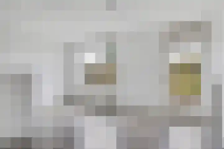 Rembrandtlaan 292 Ede thumbnail 4