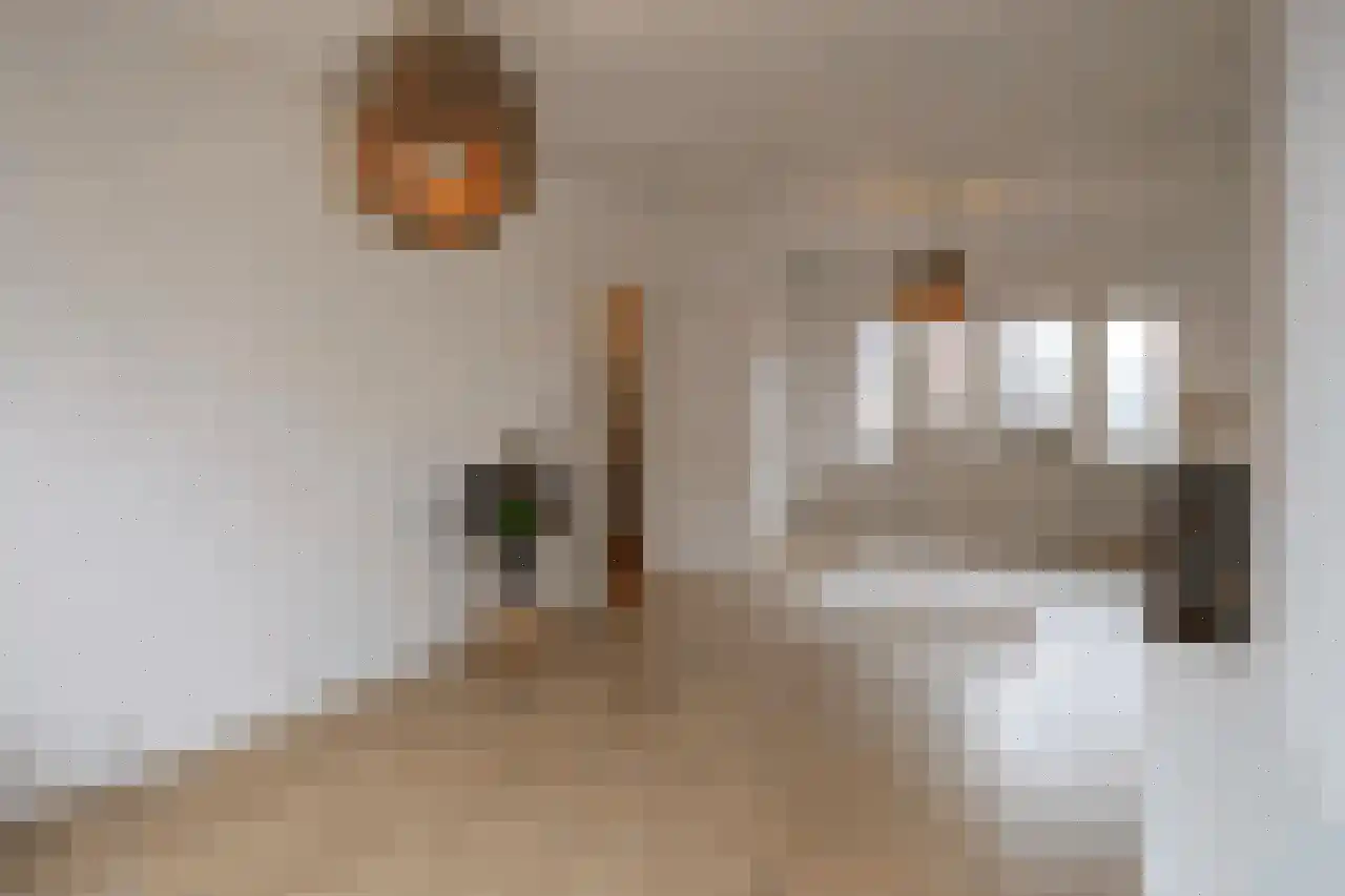 Rembrandtlaan 3 A Schiedam thumbnail 32