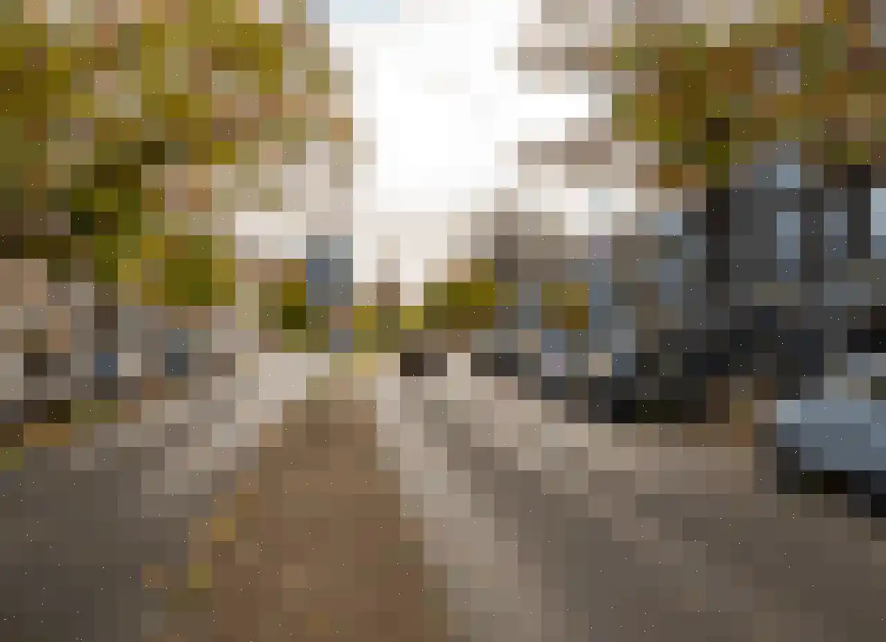 Rembrandtlaan 3 A Schiedam thumbnail 40