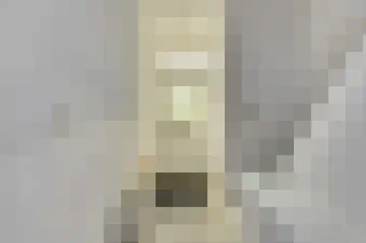 Rembrandtlaan 3 Dordrecht thumbnail 10