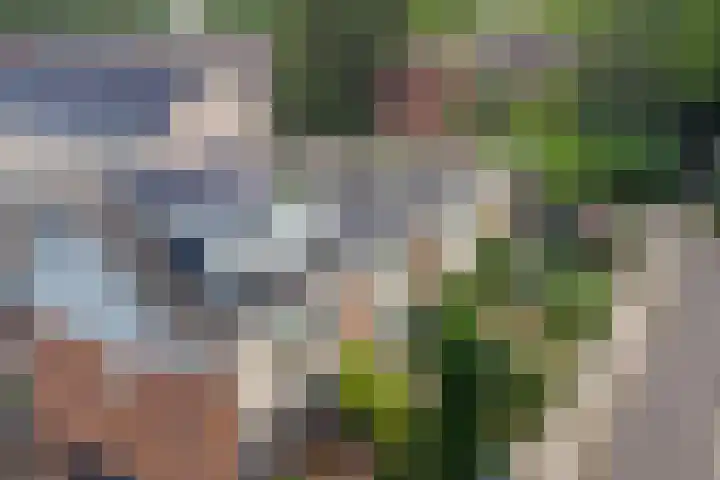 Rembrandtlaan 3 Dordrecht thumbnail 33