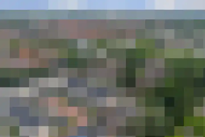 Rembrandtlaan 3 Dordrecht thumbnail 37