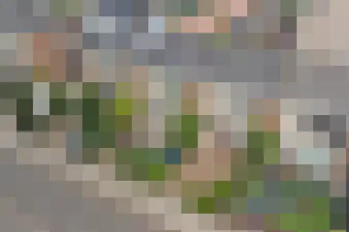 Rembrandtlaan 3 Dordrecht thumbnail 4