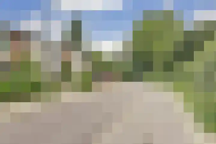 Rembrandtlaan 3 Dordrecht thumbnail 6