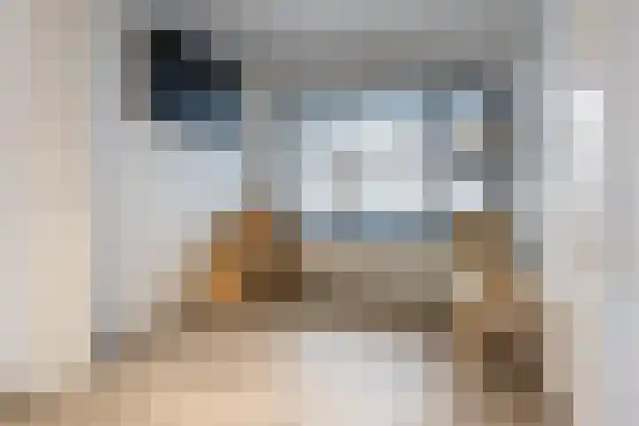 Rembrandtlaan 30 Almelo thumbnail 11