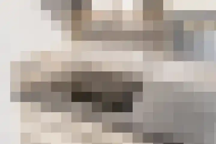 Rembrandtlaan 30 Almelo thumbnail 16