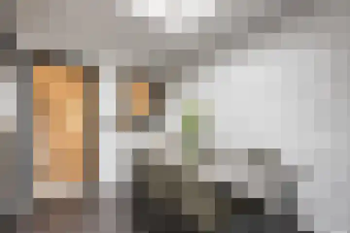 Rembrandtlaan 30 Almelo thumbnail 18