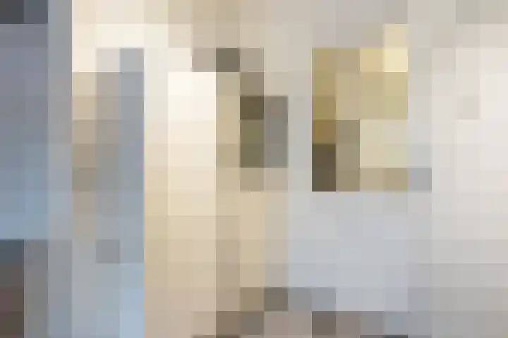 Rembrandtlaan 30 Almelo thumbnail 20