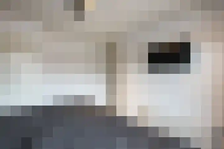 Rembrandtlaan 30 Almelo thumbnail 26