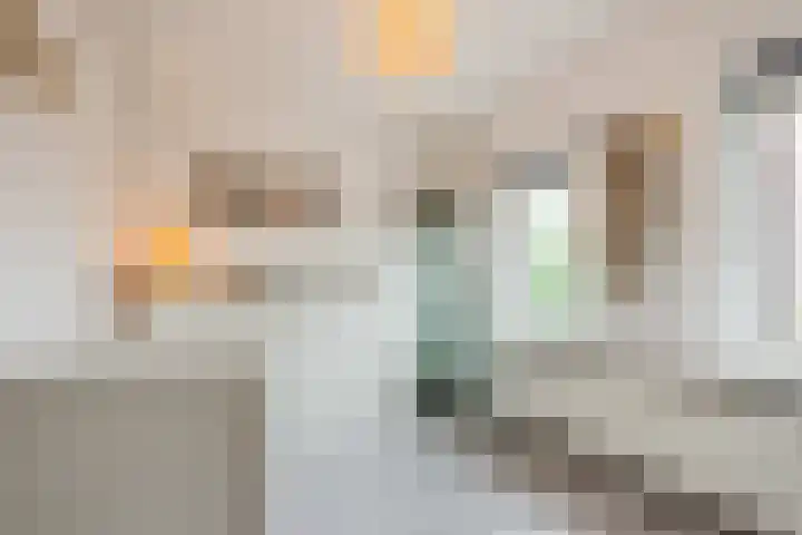 Rembrandtlaan 30 Almelo thumbnail 27