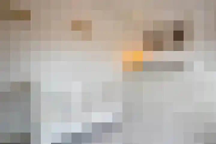 Rembrandtlaan 30 Almelo thumbnail 28