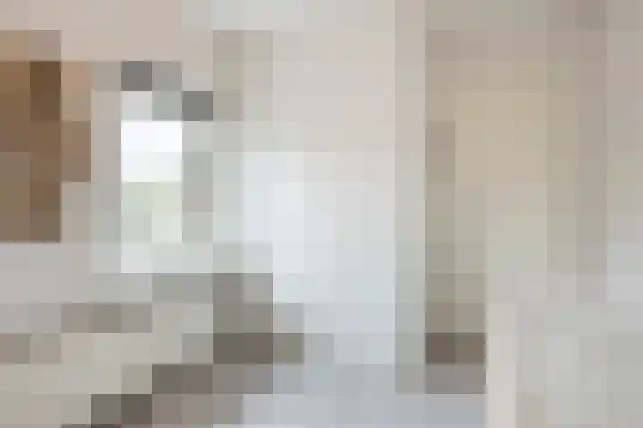 Rembrandtlaan 30 Almelo thumbnail 29