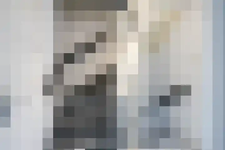 Rembrandtlaan 30 Almelo thumbnail 32