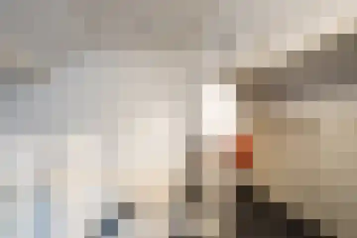 Rembrandtlaan 30 Almelo thumbnail 39