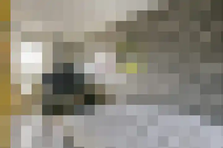 Rembrandtlaan 30 Bergschenhoek thumbnail 13