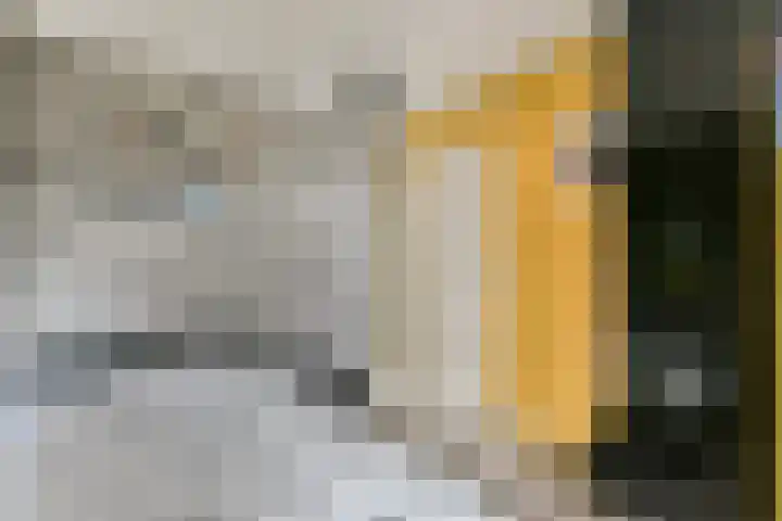 Rembrandtlaan 30 Bergschenhoek thumbnail 14