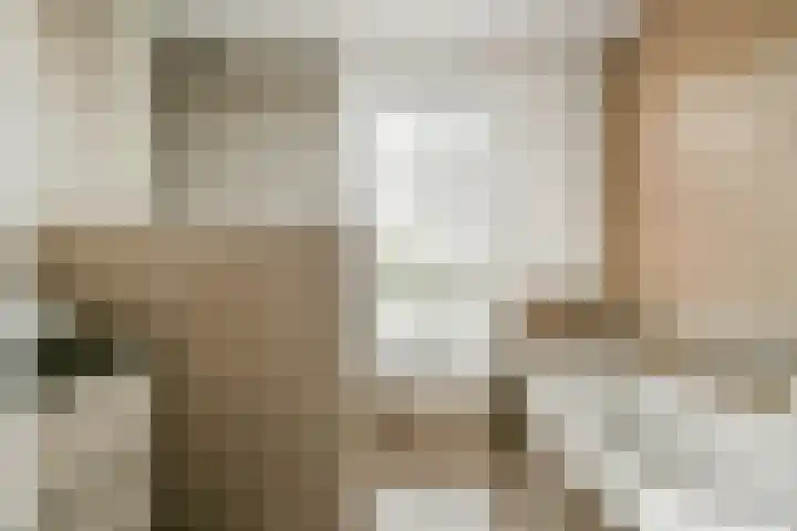 Rembrandtlaan 30 Bergschenhoek thumbnail 17