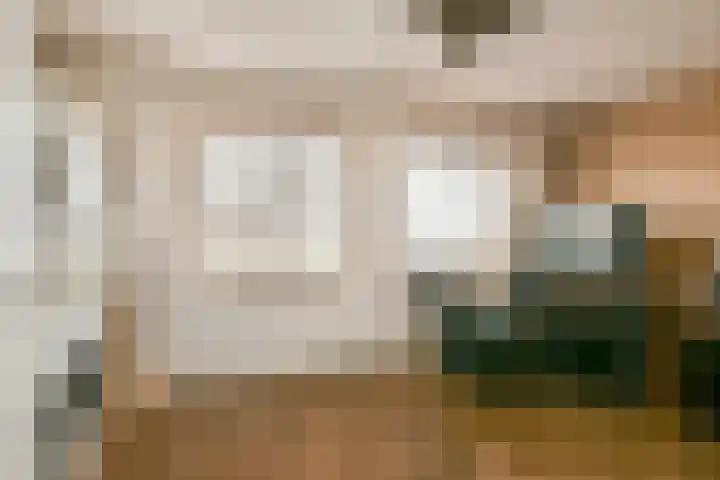 Rembrandtlaan 30 Bergschenhoek thumbnail 19