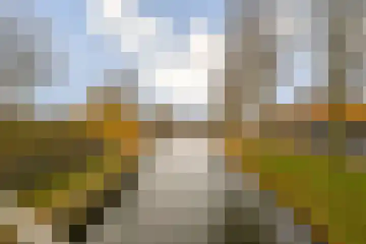 Rembrandtlaan 30 Bergschenhoek thumbnail 22