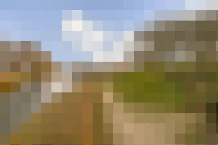 Rembrandtlaan 30 Bergschenhoek thumbnail 23