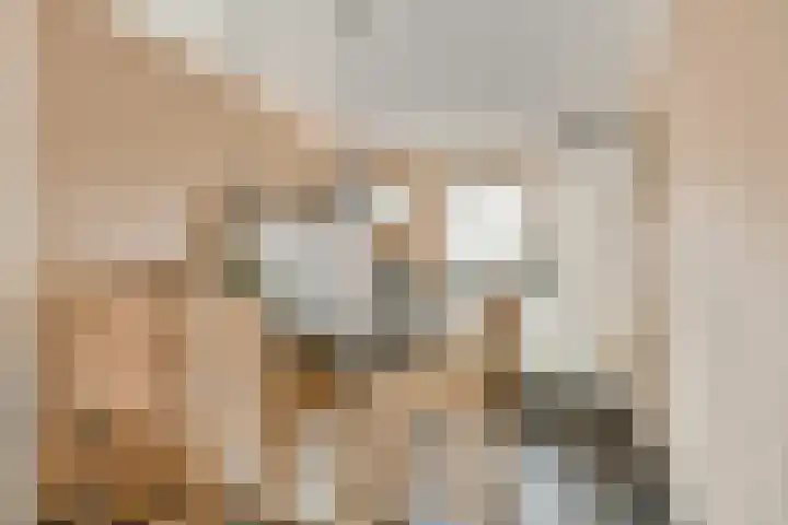 Rembrandtlaan 30 Bergschenhoek thumbnail 7
