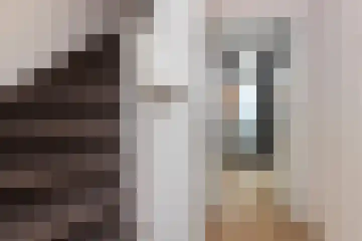 Rembrandtlaan 30 Eerbeek thumbnail 10
