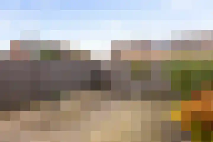 Rembrandtlaan 30 Eerbeek thumbnail 27