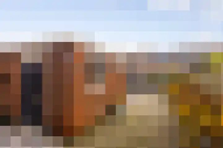 Rembrandtlaan 30 Eerbeek thumbnail 28