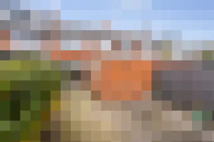 Rembrandtlaan 30 Eerbeek thumbnail 5