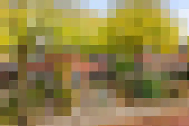 Rembrandtlaan 30 Eerbeek thumbnail 8