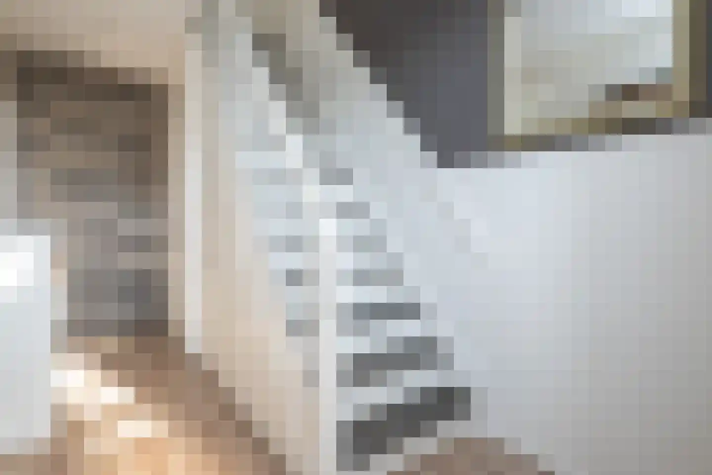 Rembrandtlaan 30 Middelharnis thumbnail 14