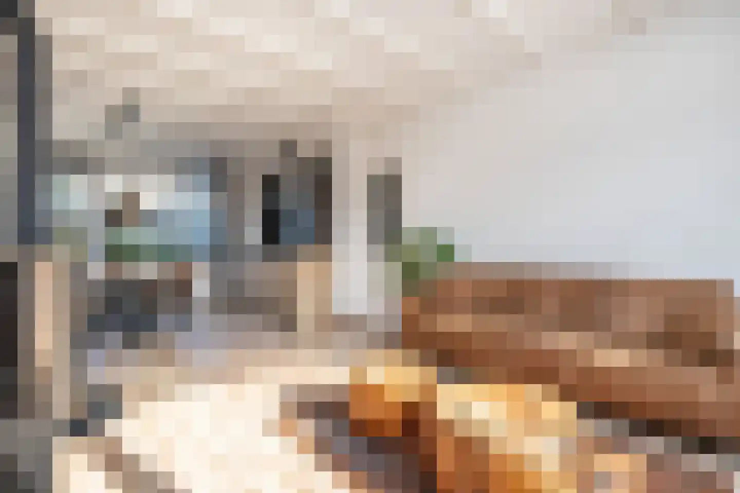 Rembrandtlaan 30 Middelharnis thumbnail 7