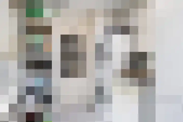 Rembrandtlaan 30 Woerden thumbnail 10