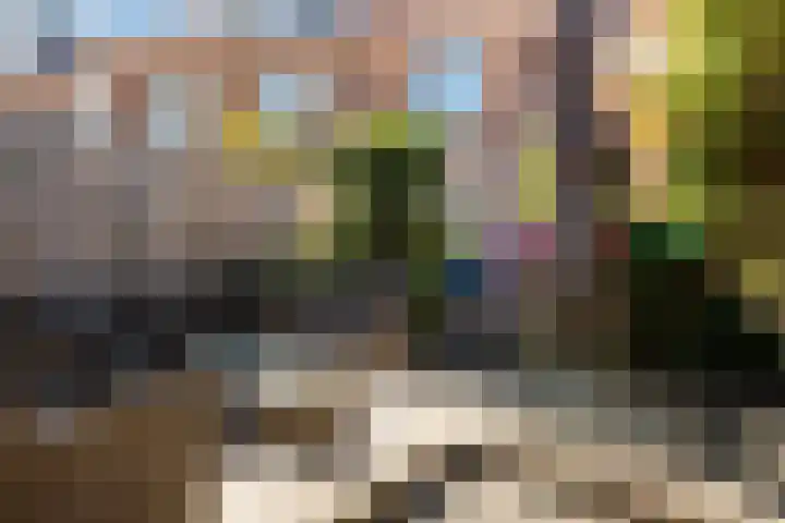 Rembrandtlaan 30 Woerden thumbnail 14
