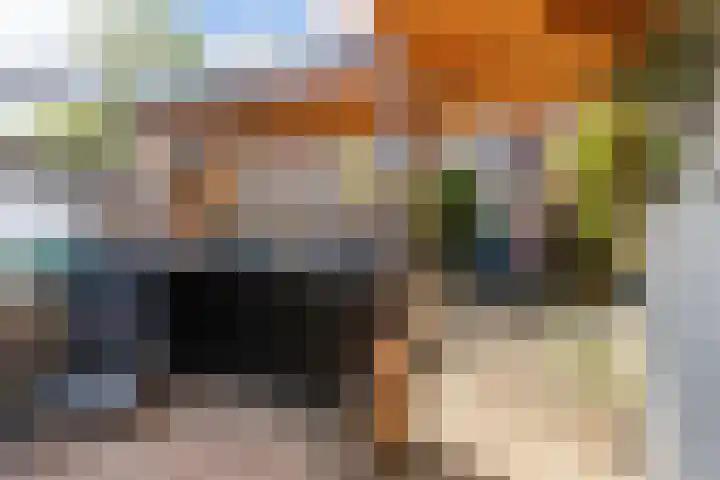 Rembrandtlaan 30 Woerden thumbnail 16