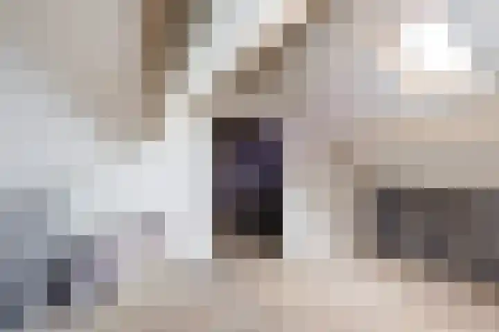 Rembrandtlaan 30 Woerden thumbnail 29