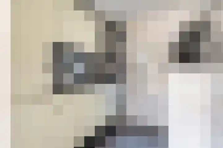 Rembrandtlaan 30 Woerden thumbnail 7