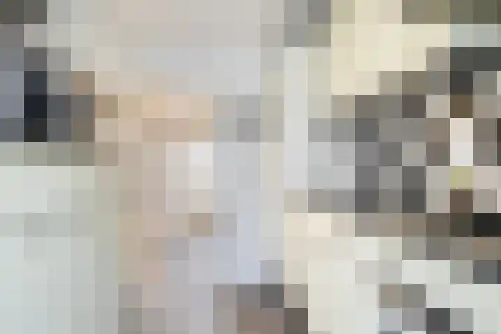 Rembrandtlaan 30 Woerden thumbnail 8