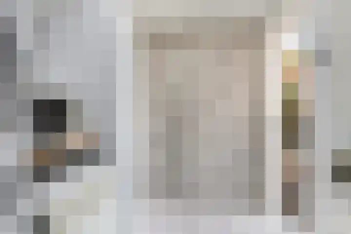 Rembrandtlaan 30 Woerden thumbnail 9