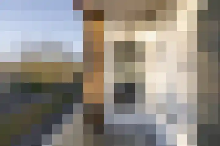 Rembrandtlaan 31 Hoogezand thumbnail 13