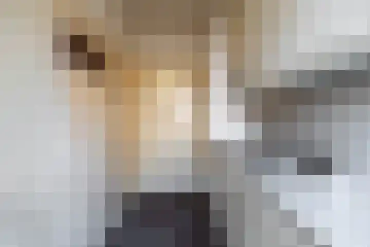 Rembrandtlaan 31 Hoogezand thumbnail 25