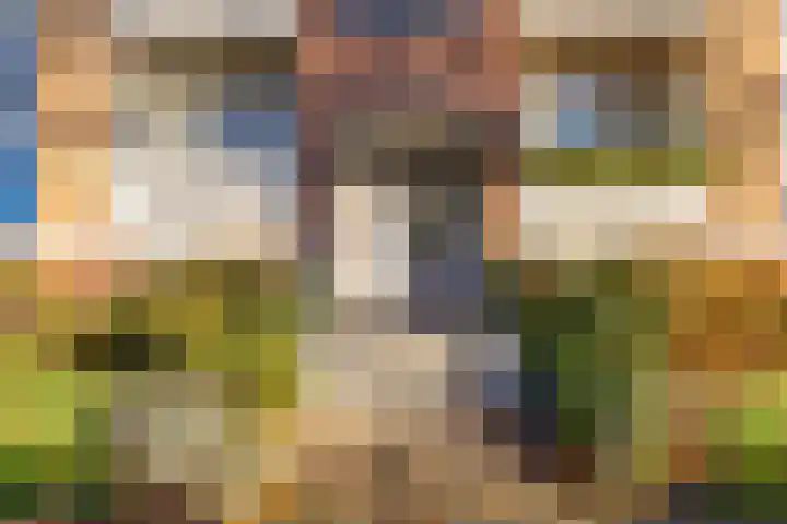 Rembrandtlaan 31 Hoogezand thumbnail 4