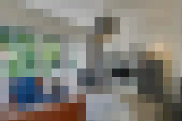 Rembrandtlaan 31 Velp thumbnail 14